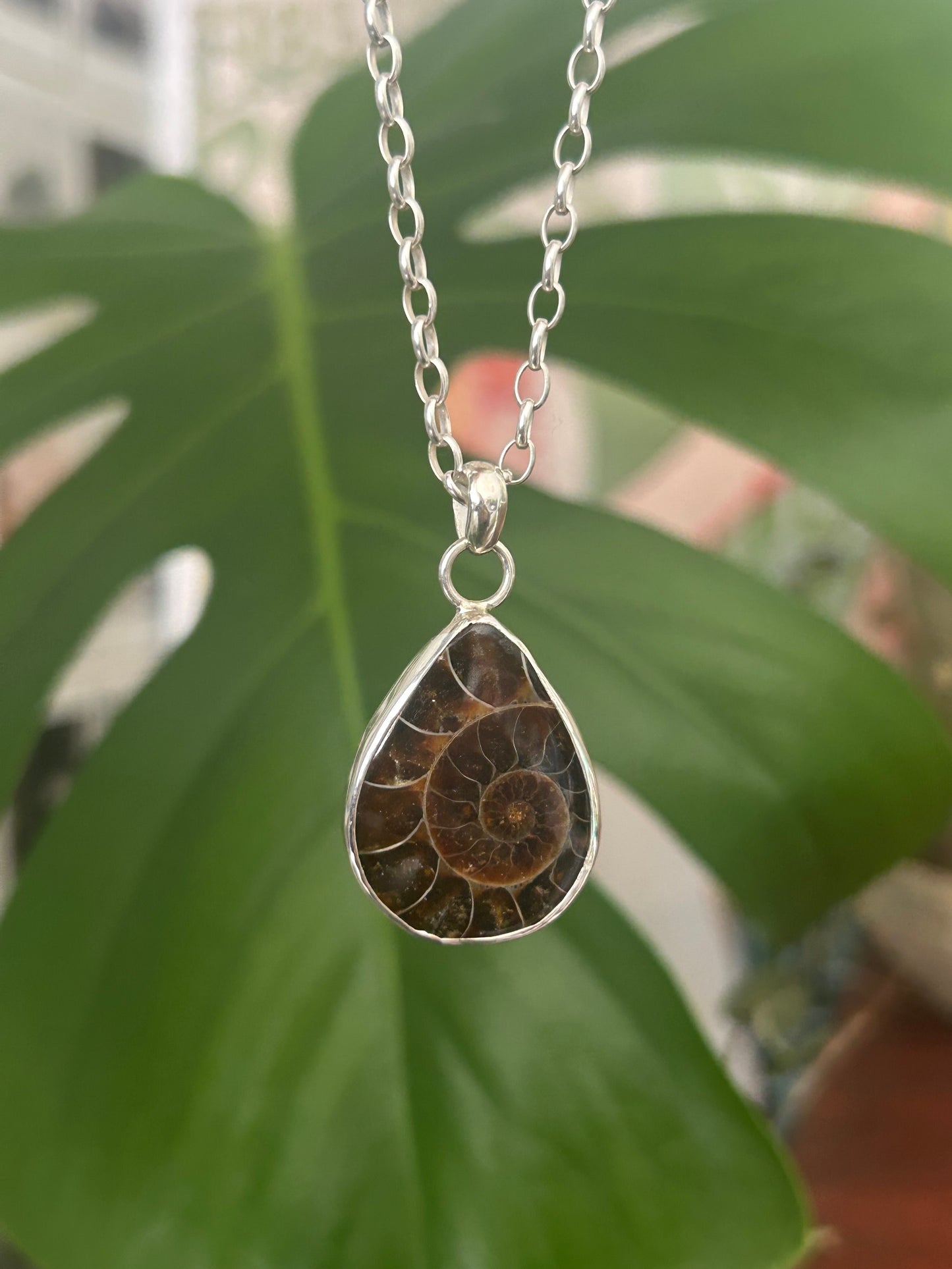 ammonite pendant