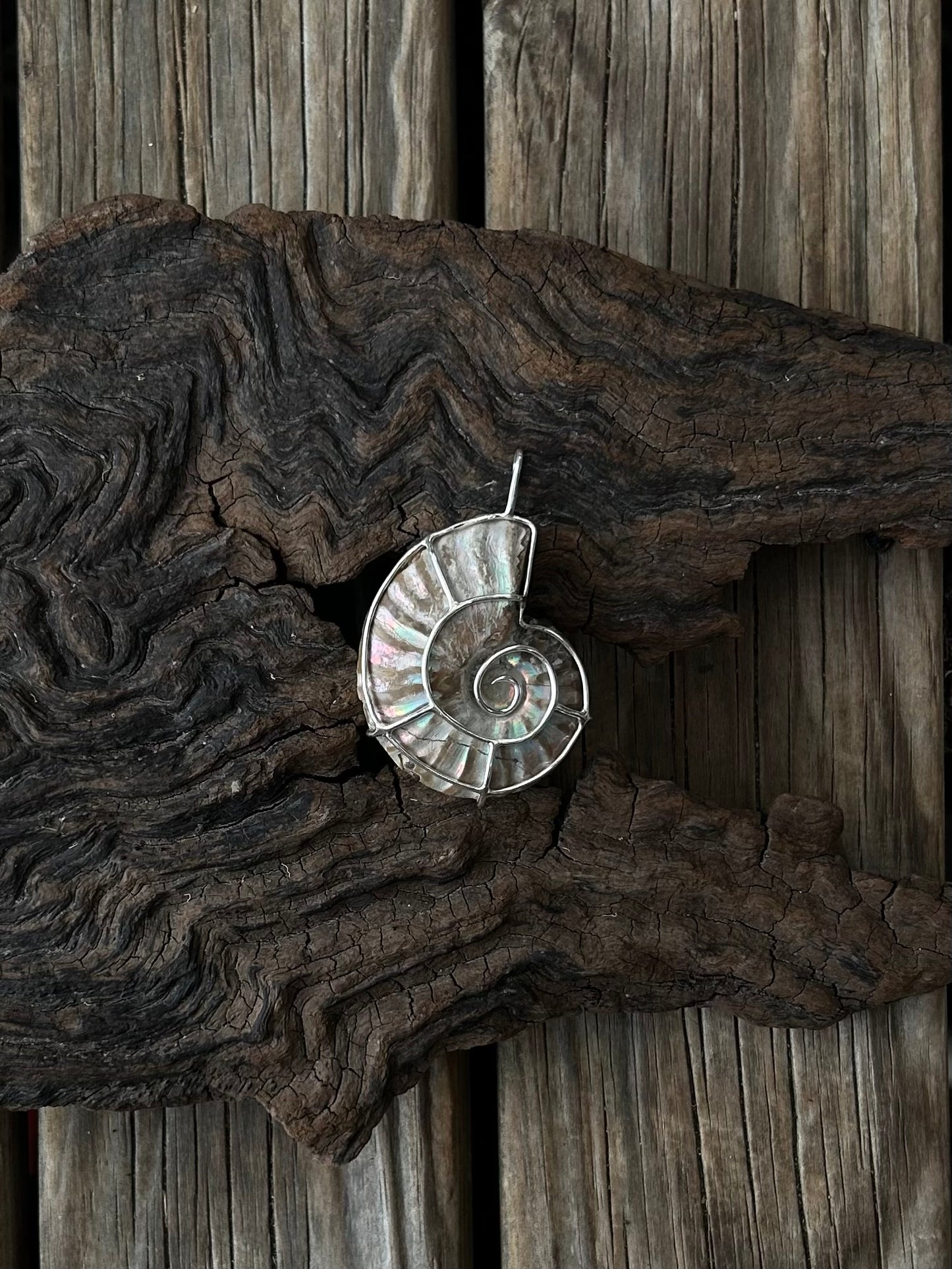 Special ammonite pendant