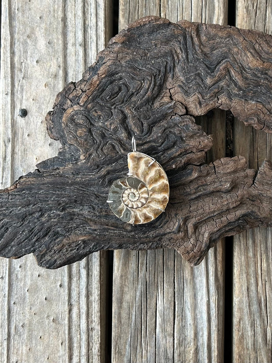 Special ammonite pendant